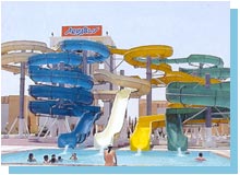 ����� Albatros Resort